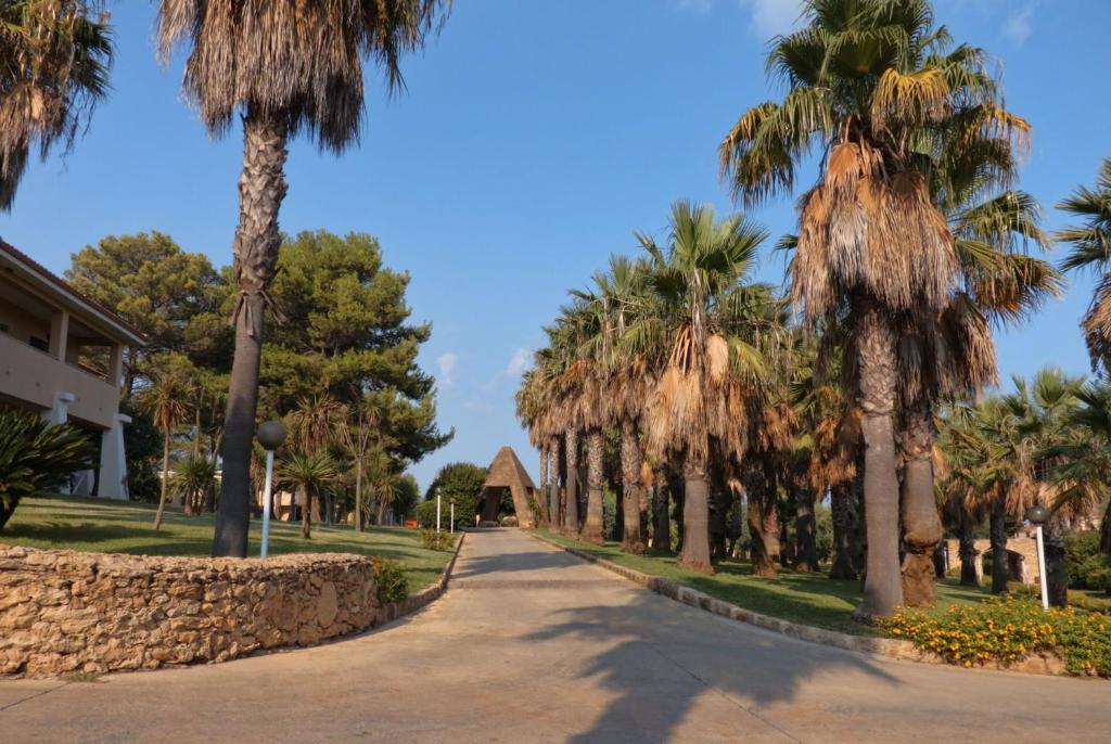 Aizaugušas palmas gar šauru ceļu, kas ved uz ēku ar unikālu arhitektūru. Apkārt ir zaļumi un saulaina debesis.