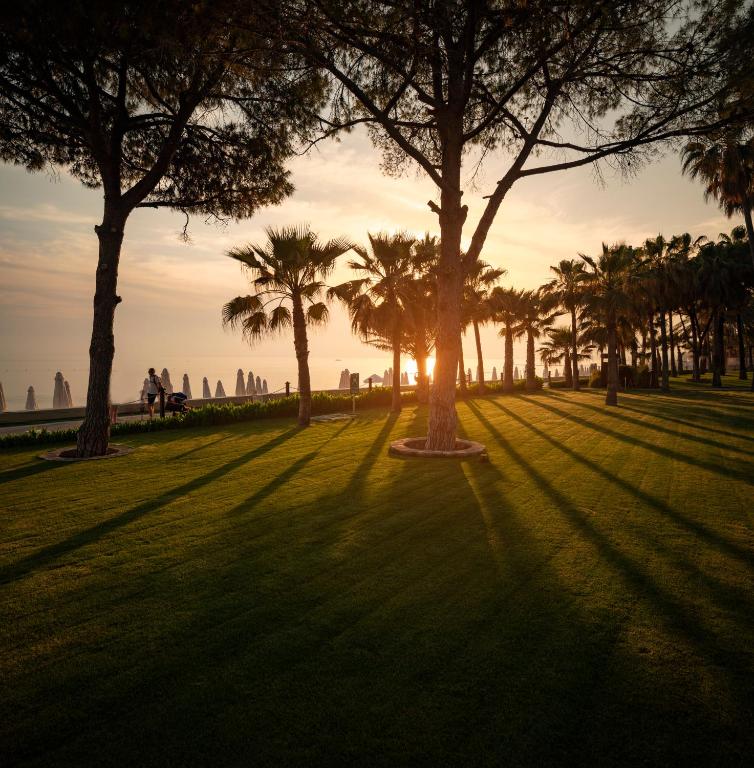 Acanthus & Cennet Barut Collection dārza ainava ar palmām un saulrietu