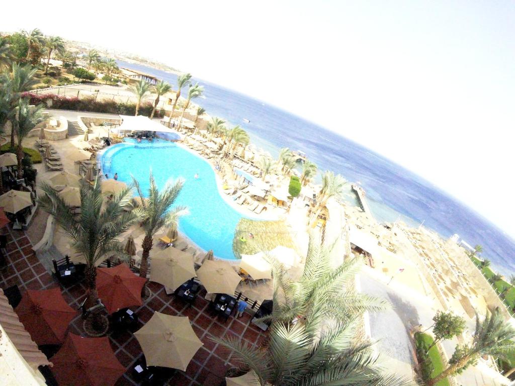 Xperience Sea Breeze Resort baseins piekrastē ar palmām un sauļošanās krēsliem.