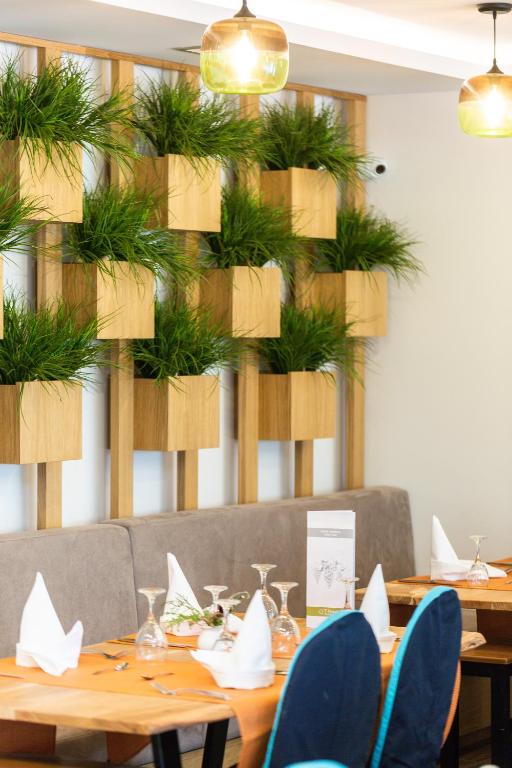 Mūsdienīgs restorāna interjers ar koka sienu apdari un zaļām augiem, kas piešķir dzīvīgumu telpai. Uz galdiem ir eleganti galda piederumi un salvetes, radot patīkamu atmosfēru.