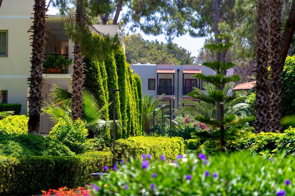 Skaists dārzs pie Turquoise Hotel ar palmām un zaļumiem