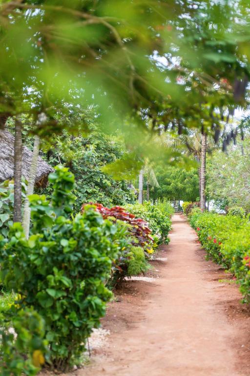 Sandies Baobab Beach gleznainā dārza taka