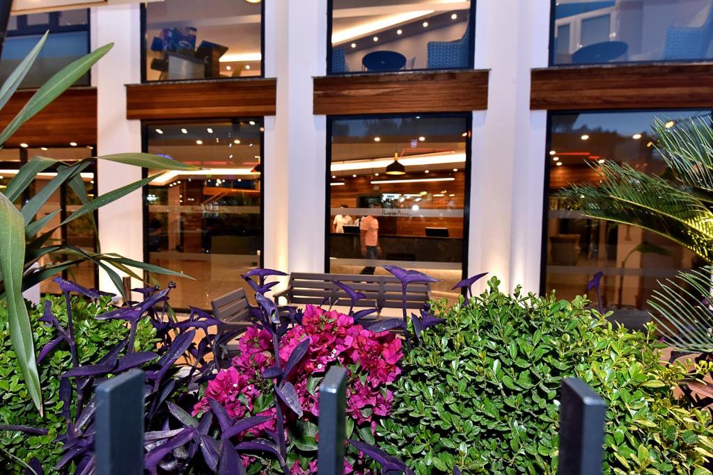 Parkım Ayaz Hotel ieeja ar ziediem un augiem priekšplānā.