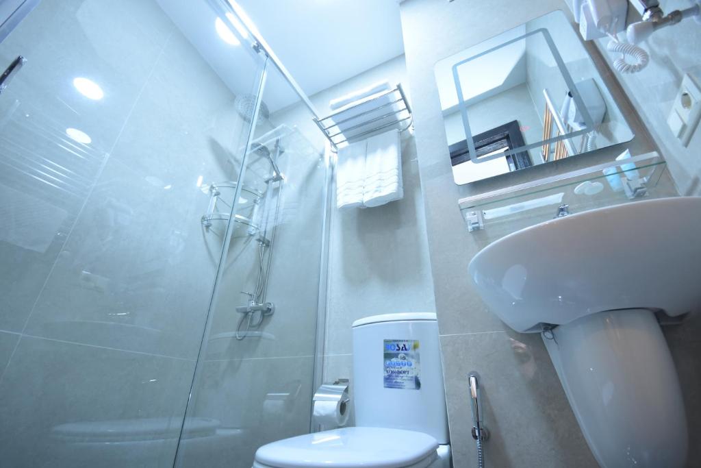 Moderns vannas istabas interjers ar dušu, tualeti un spoguli, izstrādāts eleganti un funkcionāli. Gaiši toņi un mūsdienīgas iekārtas rada patīkamu atmosfēru.