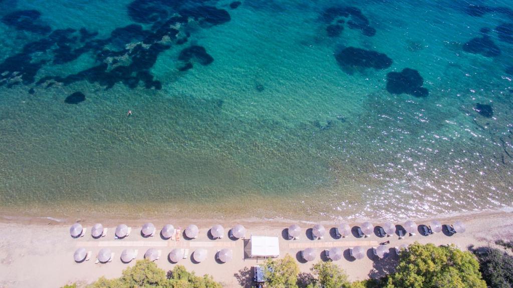 Pludmales ainava ar sauļošanās vietām un skaidru zilo ūdeni, kas aicina uz relaksāciju. Gaismas atspīdumi uz ūdens piešķir attēlam mierīgu atmosfēru.