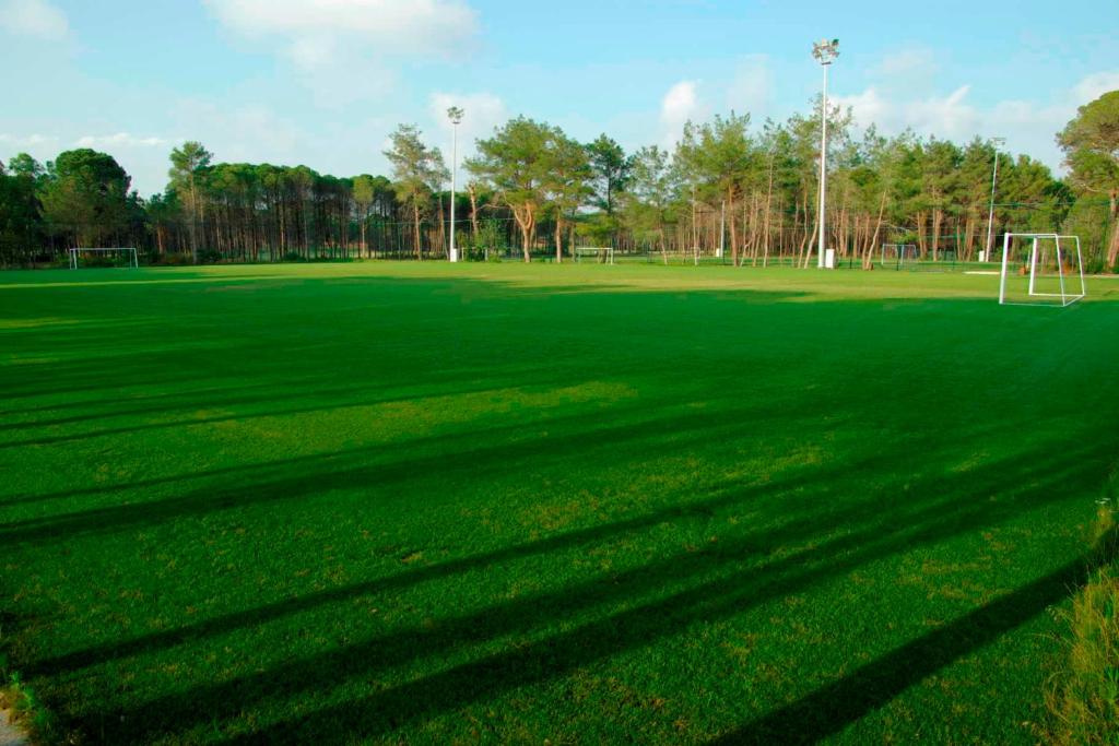 Futbola laukums pie Sueno Hotels Golf Belek ar zaļu zāli