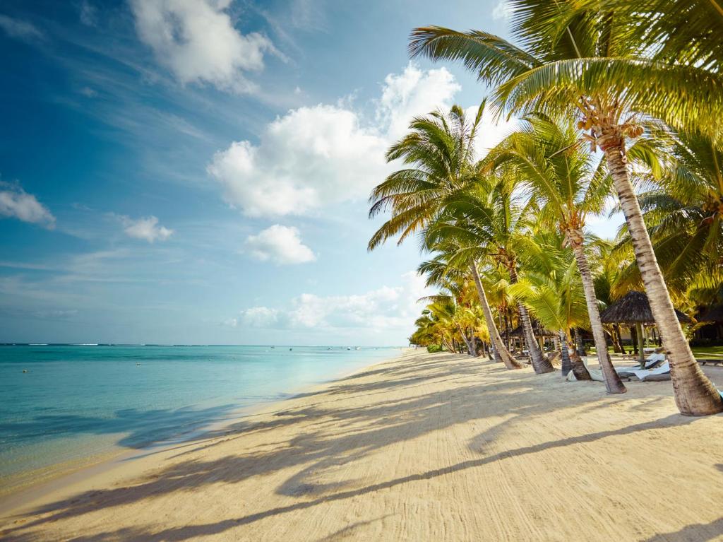 Pludmale ar palmām pie LUX* Le Morne, skats uz mierīgu ūdeni.