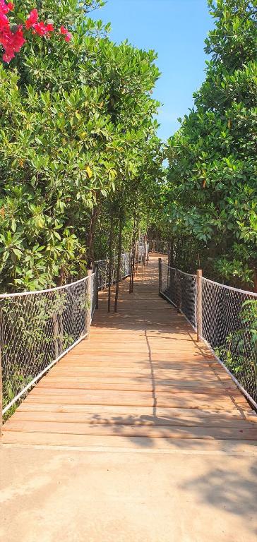 Koka taka cauri zaļiem mangrovju kokiem pie Reef & Beach Resort.