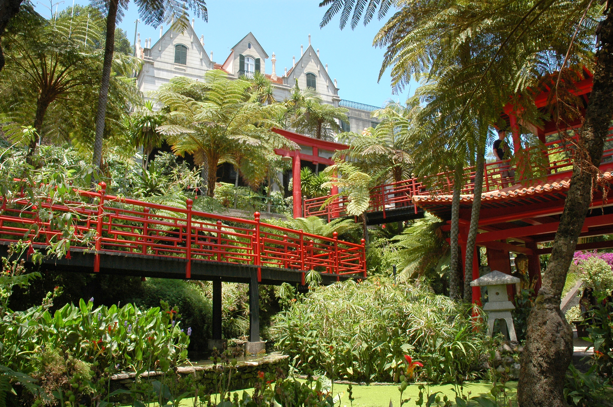 Monte Palace Tropical Garden Funšalā – eksotiski augi un ainavas kruīza pieturā