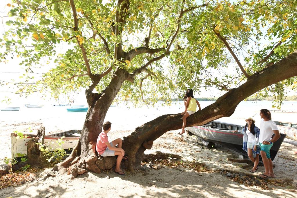 Draudzīga ģimene, kas atpūšas zem koka pie Veranda Tamarin Hotel & Spa.