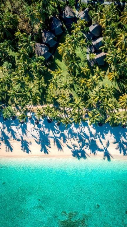 Tropu pludmale ar palmām un ūdeni, kas mirdz zilā krāsā, redzama no augšas. Apzaļumots teritorija ar mājiņām, kas sniedz tropu atpūtas sajūtu.