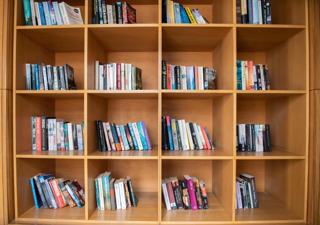 Grāmatu plaukts ar dažādām grāmatām, organizētām kastes formas nodalījumos. Plaukts ir izgatavots no koka un sniedz vizuāli pievilcīgu grāmatām.