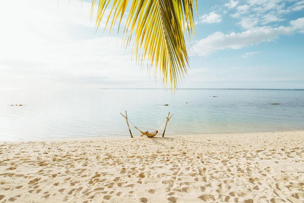 Mierīga pludmale ar šūpolēm pie LUX* Le Morne un palmām.