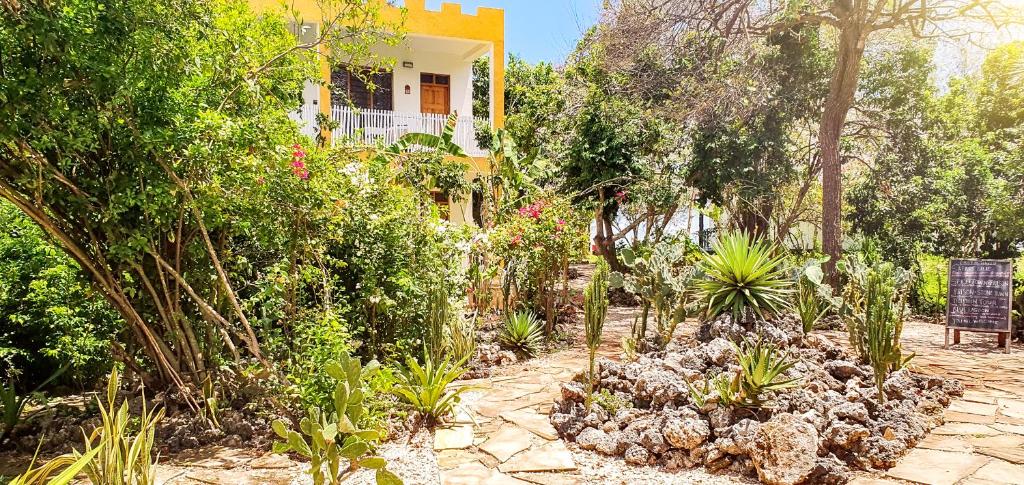 Tropiska dārza ainava pie Reef & Beach Resort.