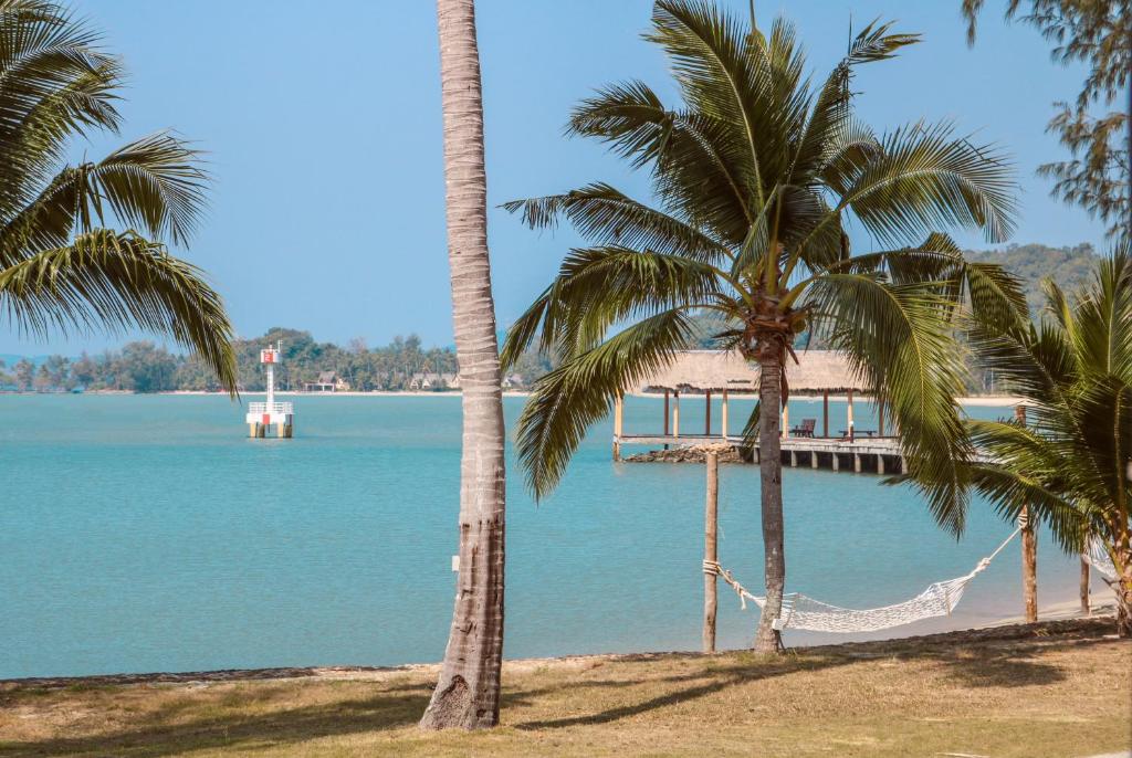 Skats uz jūru no The Aiyapura Koh Chang Resort ar palmu kokiem