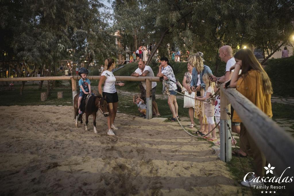 Bērns jāj uz ponija, kamēr pieaugušie un citi bērni vēro šo aktivitāti smilšainā laukumā brīvā dabā. Pavedieni un zaļumi veido patīkamu fonu ģimenes atpūtai.