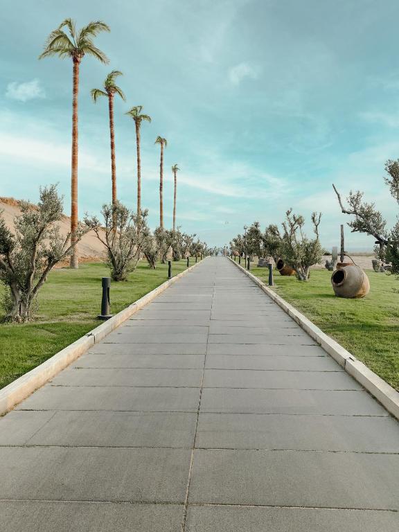 Skaists ceļš ar palmām un olīvkokiem pie LIU Resorts