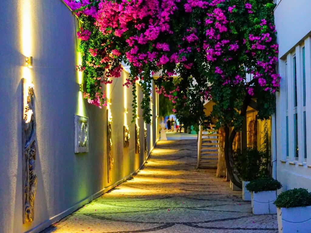 Gaismas un ziedu apmaldēta aleja pie Blue Dreams Resort & Spa