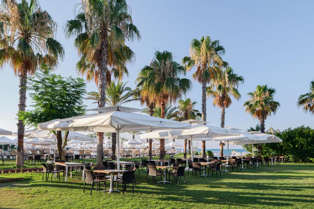 Papillon Belvil terase ar palmām piekrastē