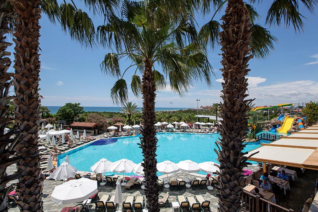 Alba Resort Hotel baseins ar palmām un sauļošanās krēsliem pie ūdens.