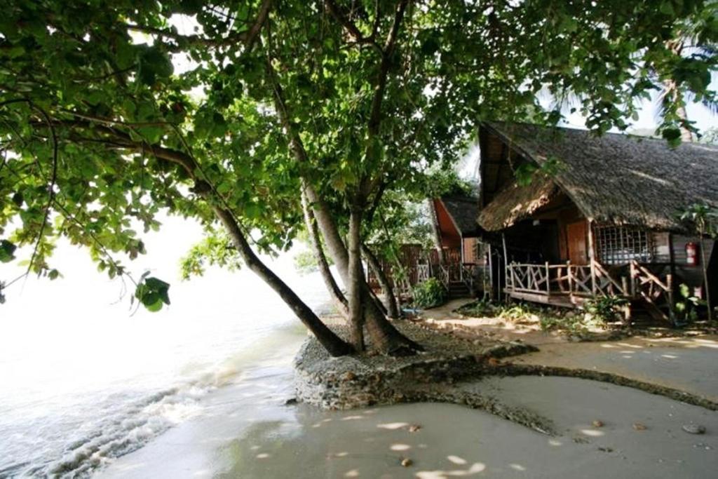Banpu Koh Chang viesnīca piekrastē ar zaļiem kokiem un koka numuriem