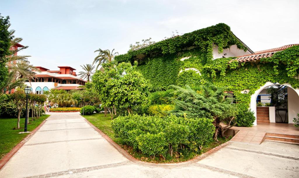 Belconti Resort Hotel dārzs ar zaļumiem un ceļš pie ieejas.