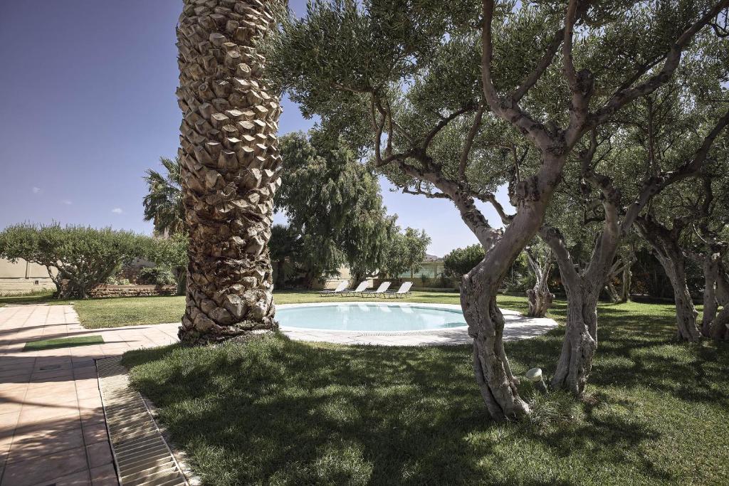 Peldbaseins ar saulainu pagalmu, ieskautu olīvu kokiem un palmām, radot relaksējošu atmosfēru. Ideāla vieta atpūtai un uzlādēšanai.