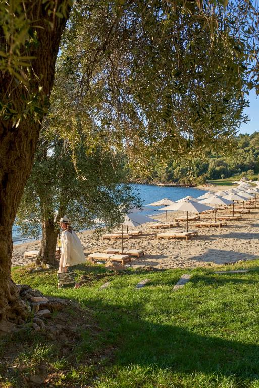 Rixos Premium Bodrum pludmales skats ar sauļošanās krēsliem un palmām