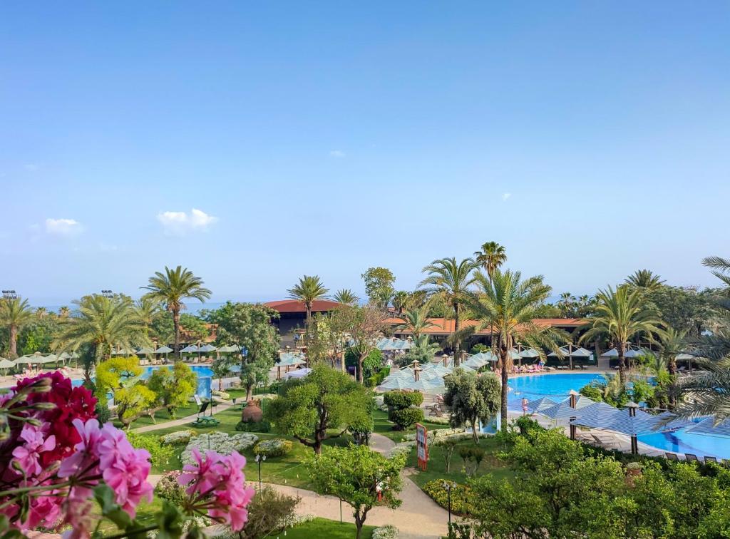 Belconti Resort Hotel dārzs ar baseinu un palmām, skats no balkona.