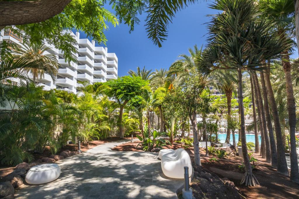 Tropu dārza ainava ar palmām un sulīgām zaļām augiem, kas ved uz peldbaseinu, ar modernu ēku fona.