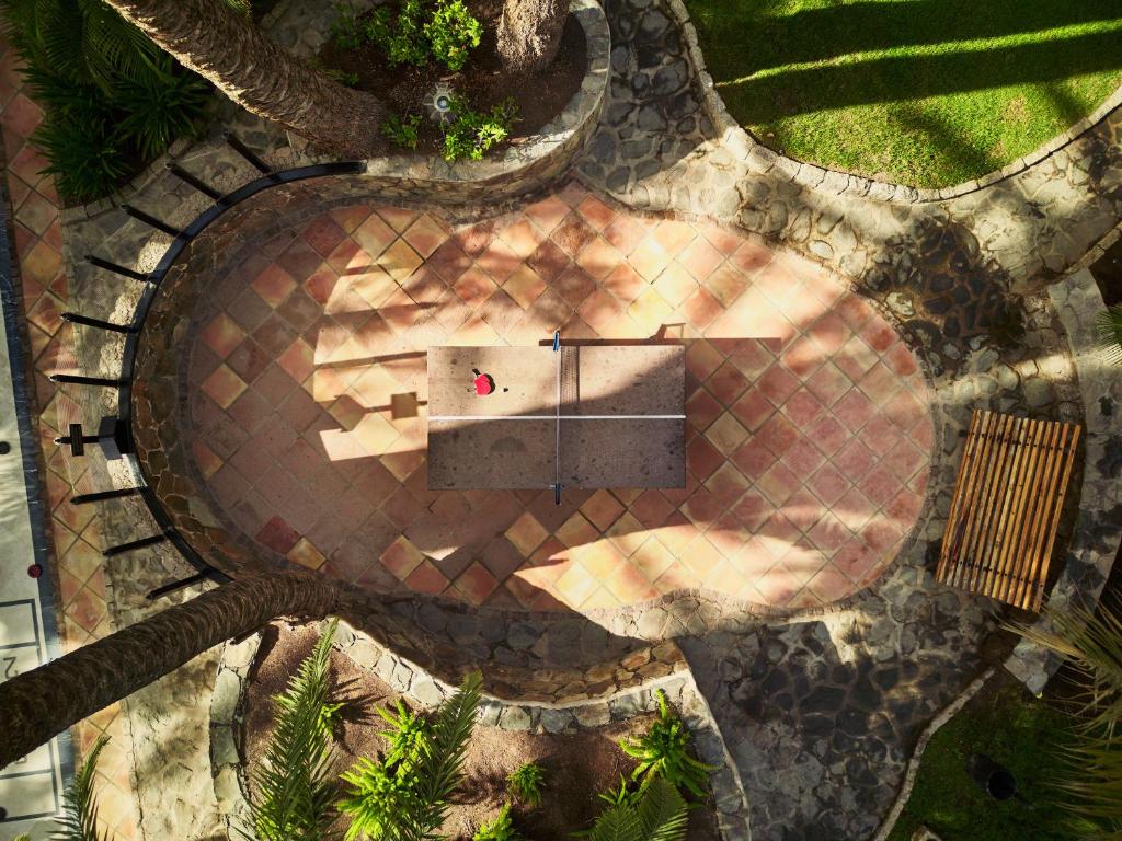 Pārskats uz dārza laukumu ar akmens celiņu, kur centrā atrodas galdiņš un sarkans objekts, ar zaļām augu detaļām ap to. Gaismas un ēnu spēles piešķir ainai dzīvīgumu.