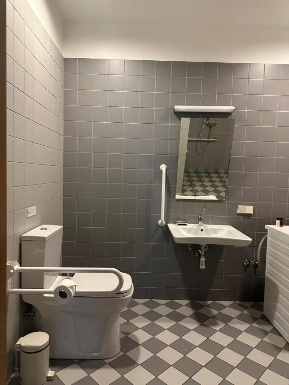 Moderns un funkcionāls vannas istabas interjers ar pelēkām flīzēm, izlietni, tualeti un spoguli. Telpa ir aprīkota ar roku balstiem un mūsdienīgu dizainu.