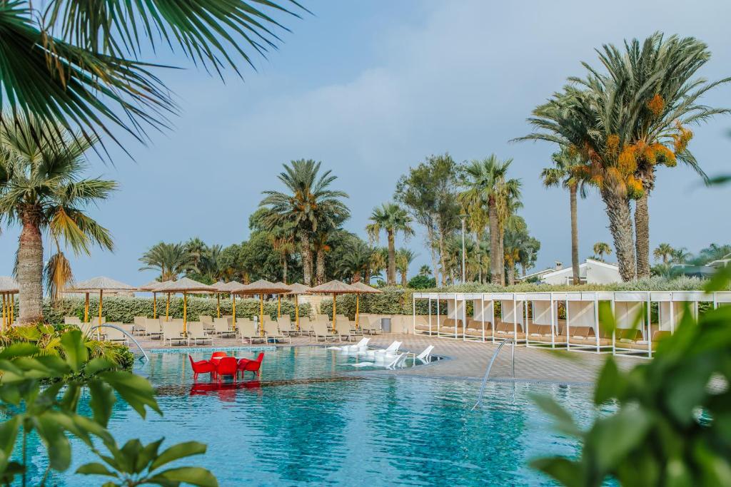 Mare Ayia Napa baseins ar palmu kokiem