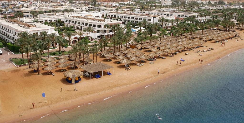 Iberotel Palace pludmale ar saulessargiem un palmām piekrastē