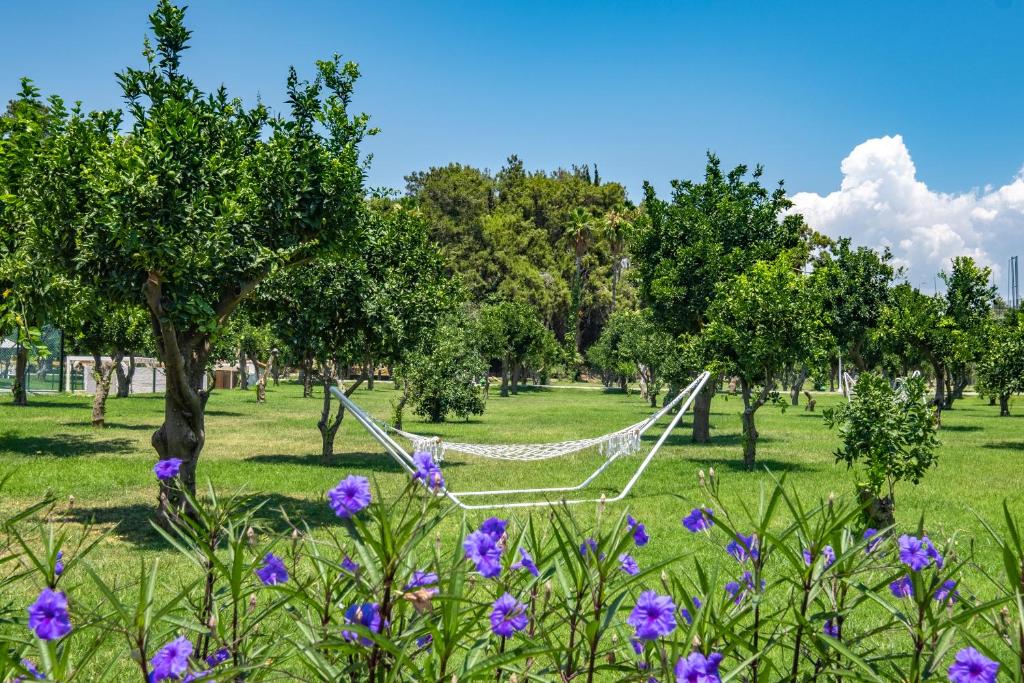 Zaļš parks ar kokos un šūpuļtīklu, kas atrodas starp koku rindām, un violetiem ziediem priekšplānā. Svaiga un mierīga vide ideāla atpūtai.