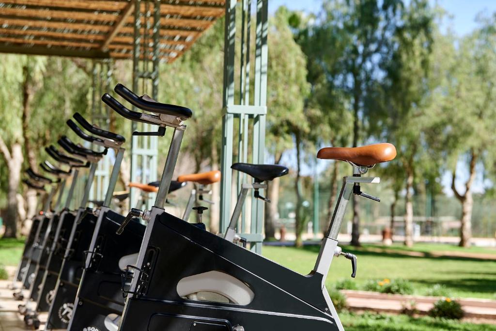 Rindu velosipēdi sporta zālē, izvietoti zem jumta, ar zaļu zālienu un kokiem fonā. Ideāla vieta aktīvai atpūtai un treniņiem.