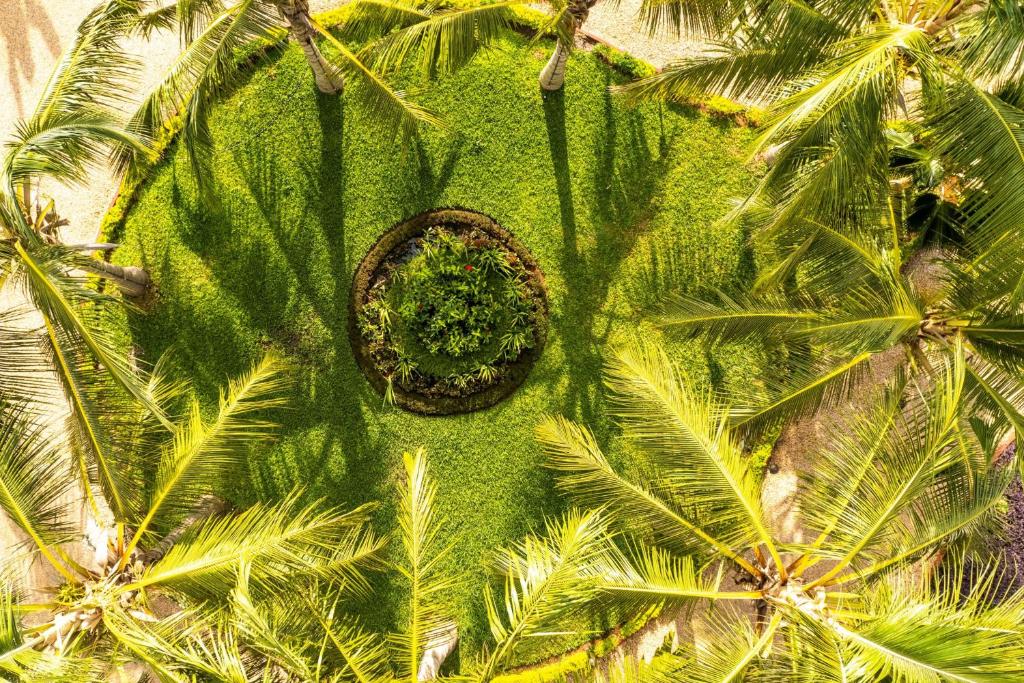 Tropu dārzs Nungwi Beach Resort by Turaco teritorijā