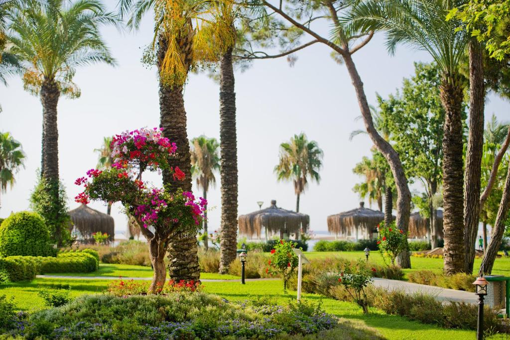 Mirada Del Mar Hotel dārzs ar ziedošām krūmām un palmu rindām piekrastē.