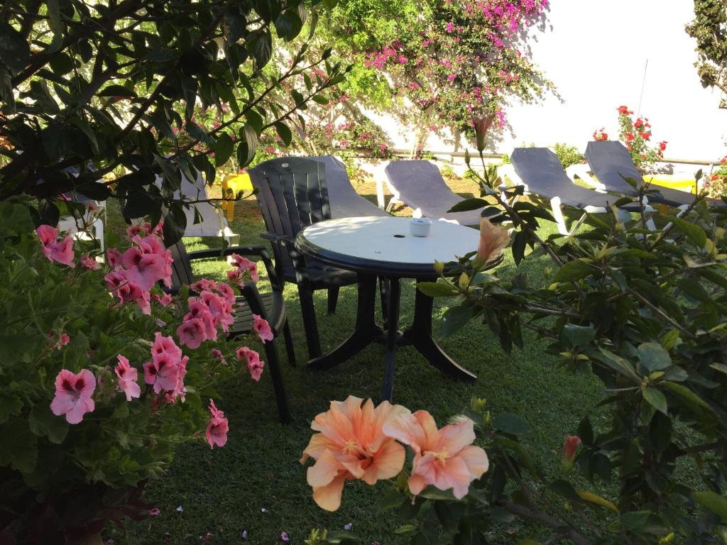 Pavasara dārzs ar ziediem, galdu un sauļošanās krēsliem, radot relaksējošu atmosfēru. Ideāla vieta atpūtai un dabas baudīšanai.