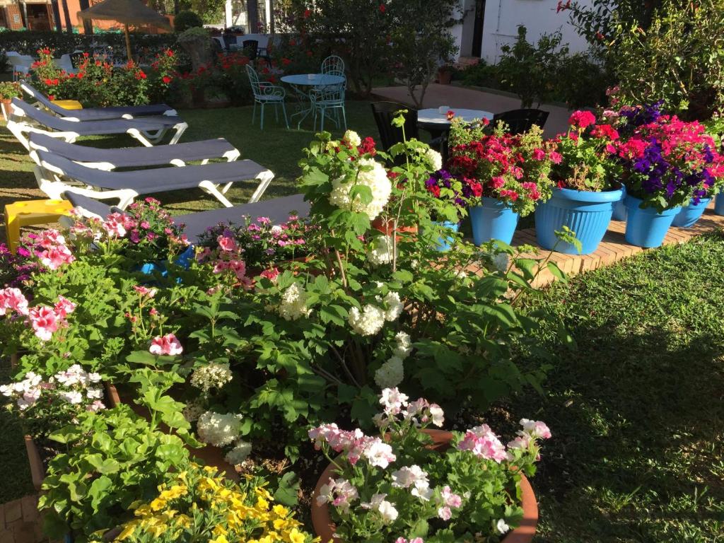 Krāšņs dārza skats ar ziediem dažādās krāsās, kas rotā puķu podus, un atpūtas krēsliem saulainā vidē. Dārza stūrī ir galds un krēsli, kas aicina uz relaksāciju.