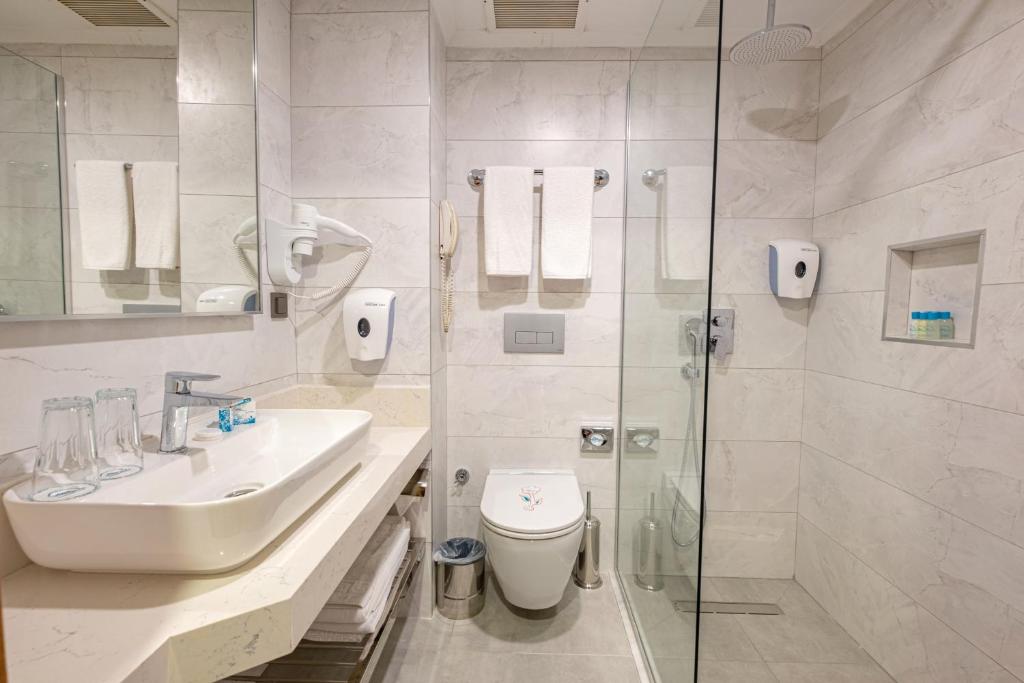 Moderns vannas istaba ar dušu un mūsdienīgu aprīkojumu Alba Resort Hotel
