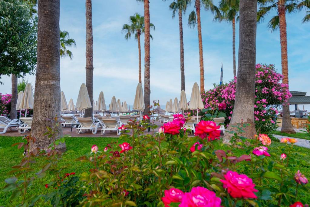Meryan Hotel baseins ar ziediem un palmām piekrastē