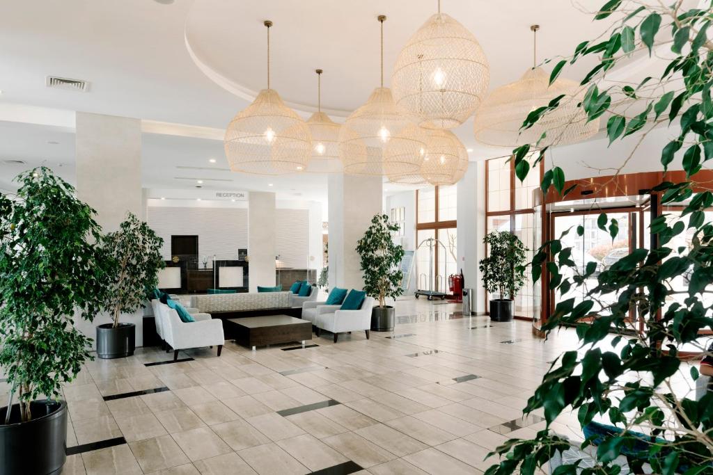 Mūsdienīgs viesnīcas vestibils ar plašu telpu, elegantiem gaismas ķermeņiem un zaļām augiem, kas rada viesmīlīgu atmosfēru. Reception ir redzama fonā.
