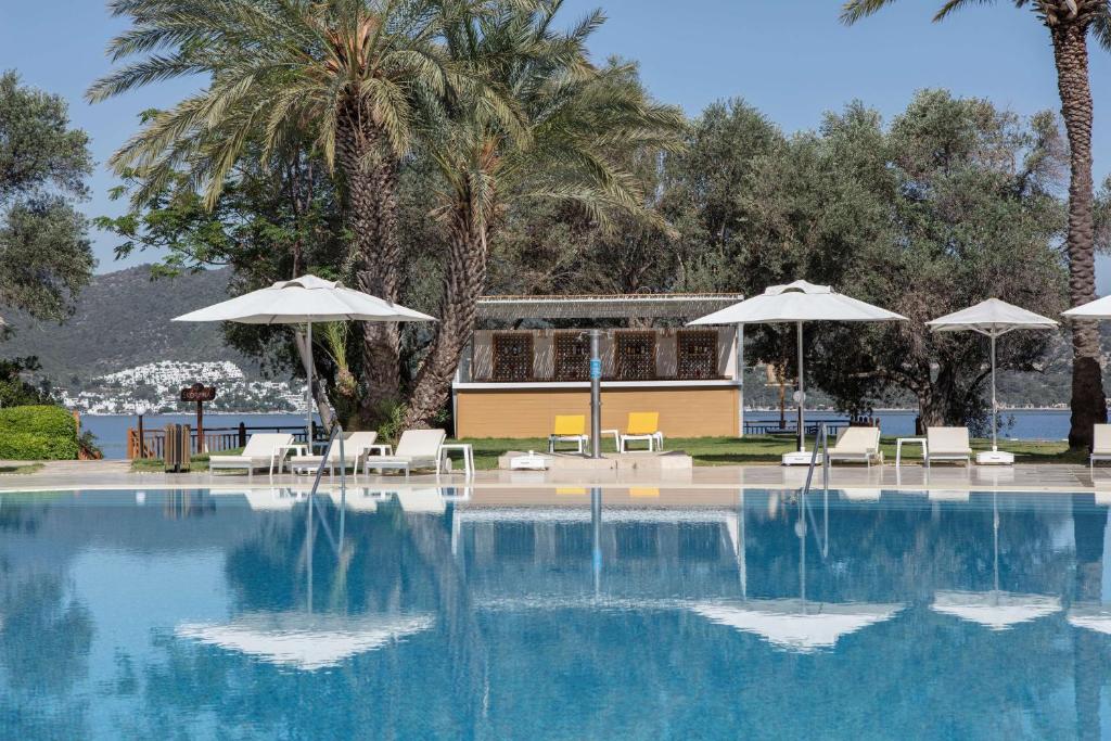 Lieliska peldbaseina zona ar palmām pie DoubleTree by Hilton Bodrum Isil Club Resort.