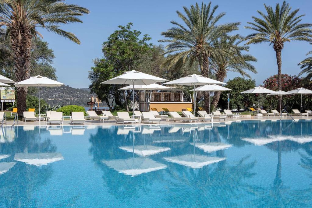 Peldbaseins pie DoubleTree by Hilton Bodrum Isil Club Resort ar palmām