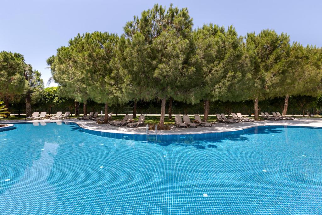 Miracle Resort Hotel baseins ar saulessargiem un zaļām priedēm