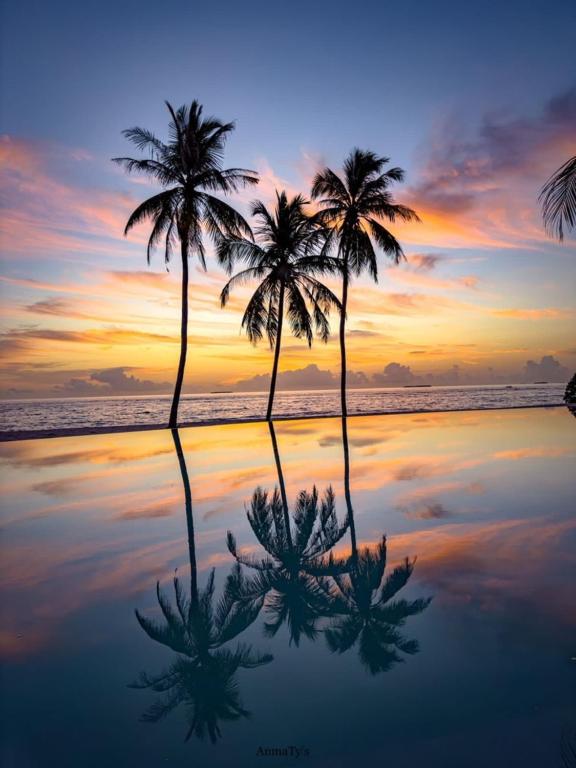 Tropiskā ainava ar palmu atspulgu, Ifuru Island Maldives