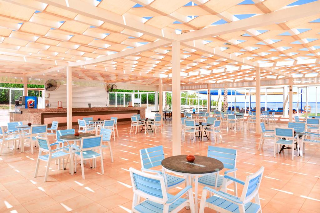 Atklāta terase ar ziliem krēsliem pie Pickalbatros Royal Albatros Moderna.