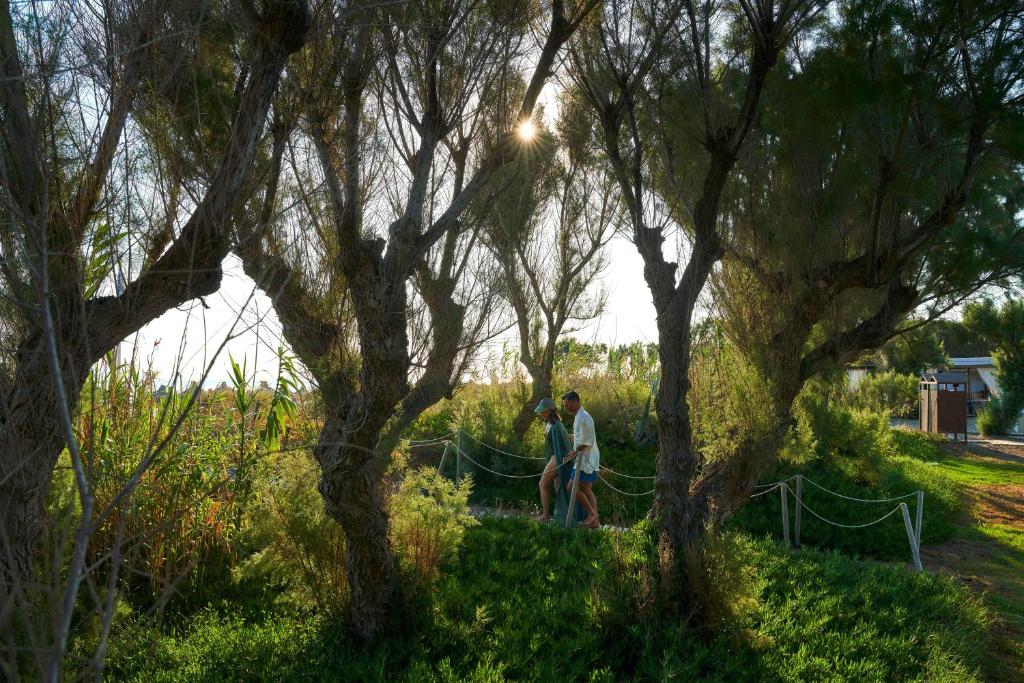 Pāris pastaigā pa saulainu taku, ko ieskauj koki un zaļa veģetācija, radot mierīgu un romantisku atmosfēru.