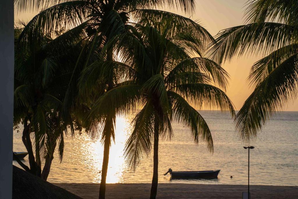 Hilton Mauritius Resort & Spa pludmale saulrietā ar palmām